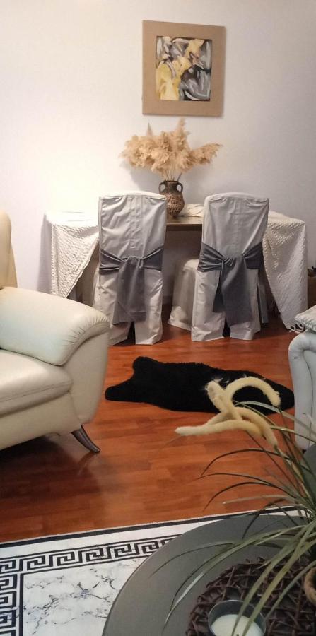 Lovely Cozy Apartment In The Entrance Of Nicosia Aglantzia Bagian luar foto
